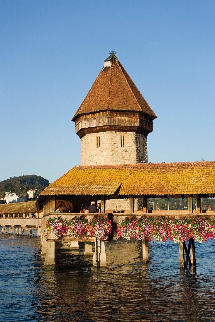 Reuss Fluss mit Kapellbrücke, die älteste, überdachte Holzbrücke Europas und Wasserturm, Luzern, Kanton Luzern, Schweiz