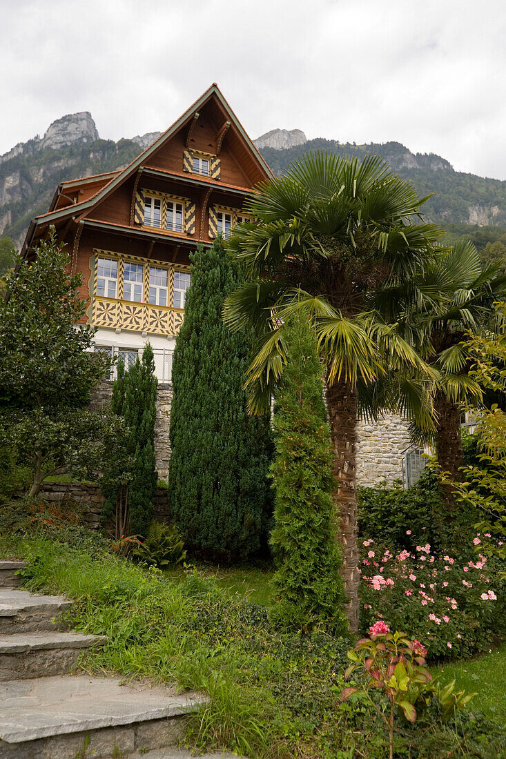 Palms growing in front of a house, Bauen, the smalles village of Uri, Lake Urnersee, part of Lake Lucerne, Canton of Uri, Switzerland