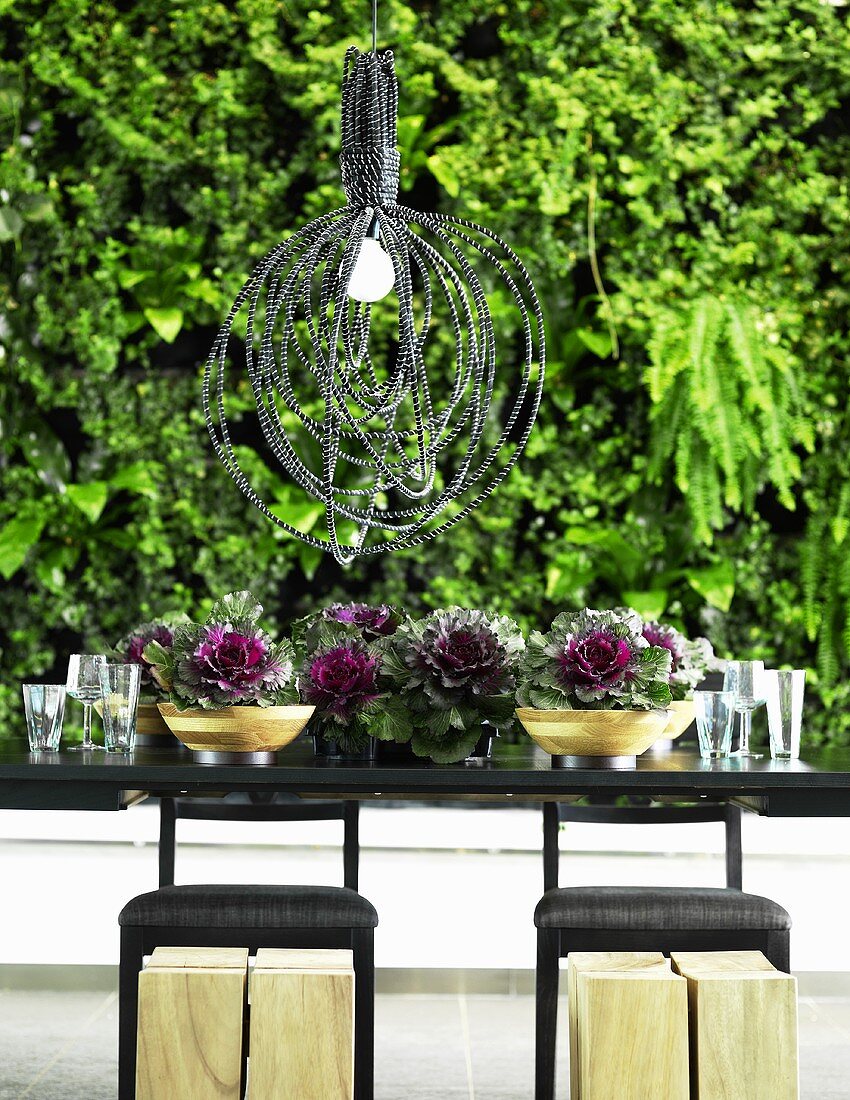 Zierkohl auf schwarzem Tisch mit Hängelampe aus Perlenschmuck vor Poster mit Gartenmotiv