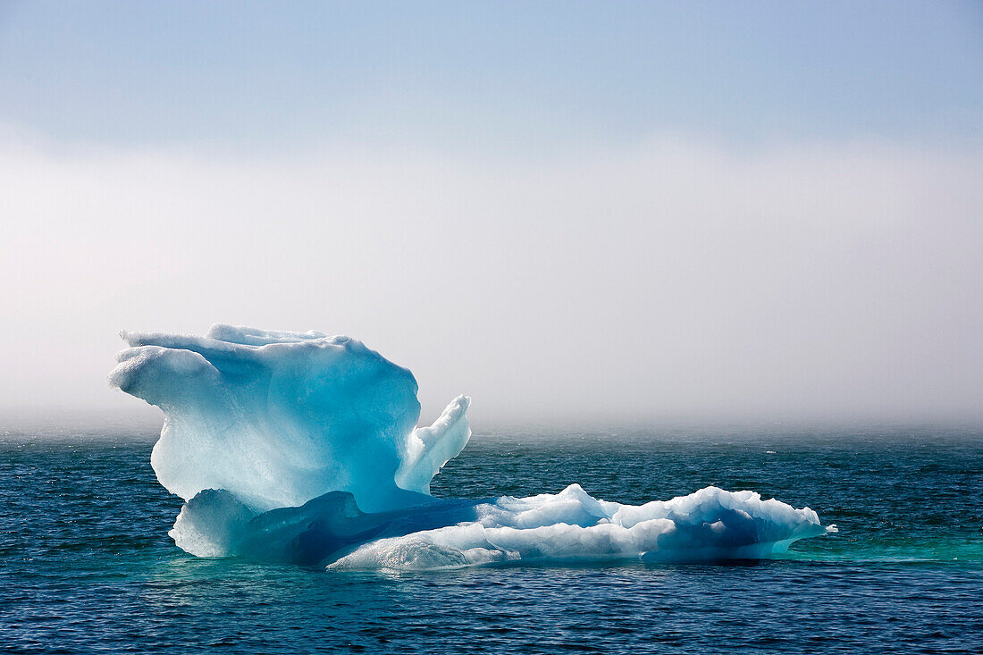 Eisberg treibt vor Narsarsuaq, Südgrönland