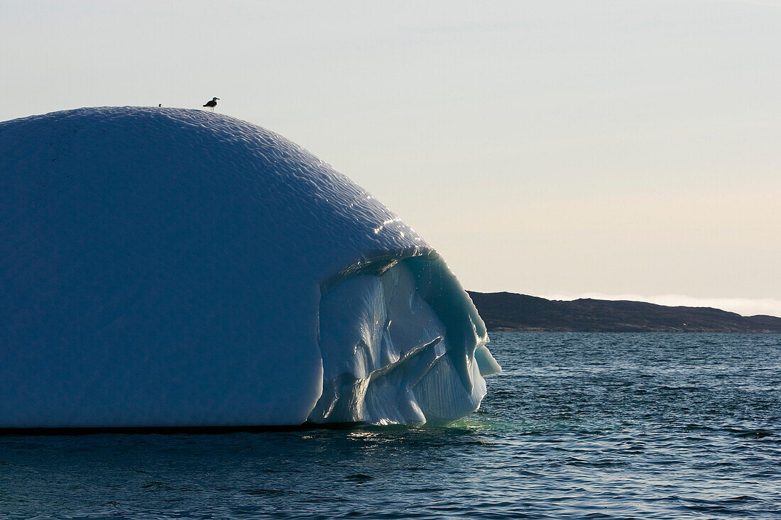 Iceberg, South Greenland.