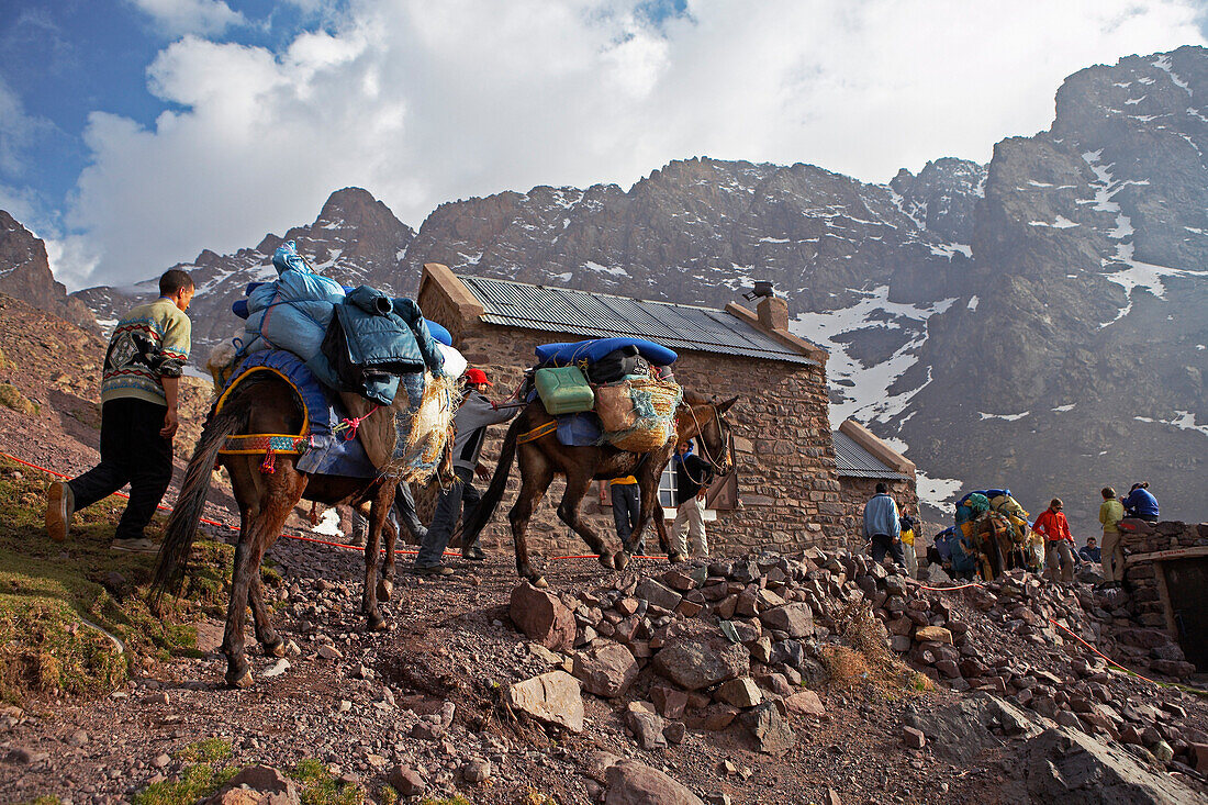 Maultiere und Trekkinggruppe vor  der  Hütte Refuge Lépiney, Hoher Atlas, Toubkal Region, Marokko, Nordafrika