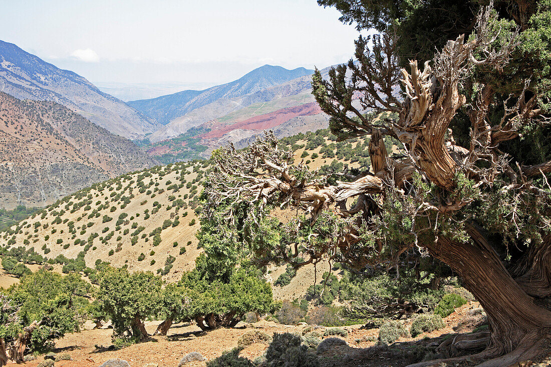 Ausblick nach Tizi Oussem, Hoher Atlas, Toubkal Region, Marokko, Nordafrika