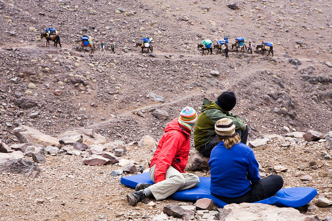 A trekking group and their mules, Morocco, Atlas Mountains, Toubkal Region. North Africa