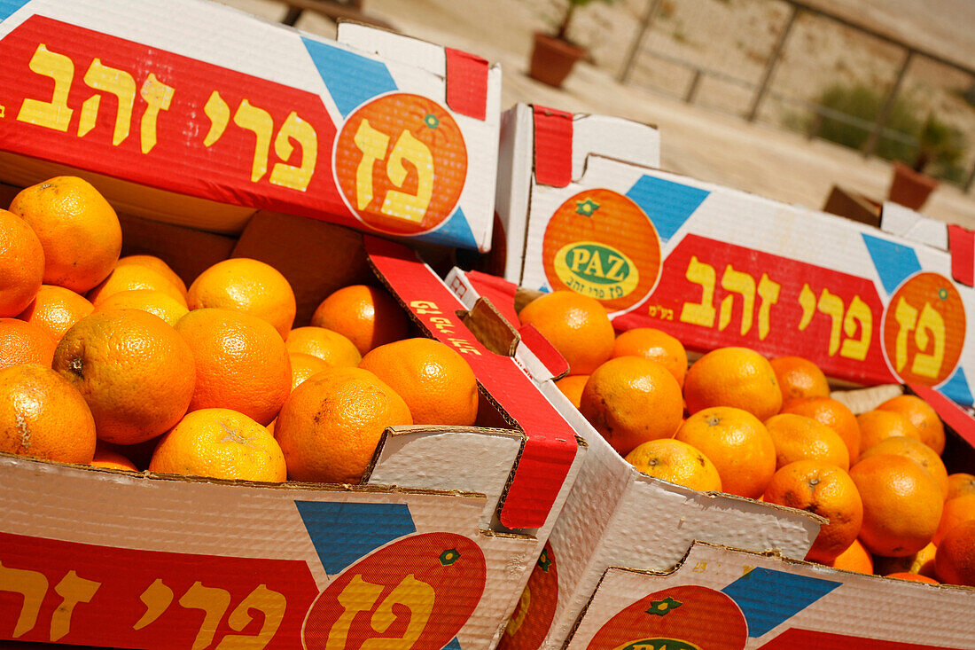Close up of fresh oranges at the Dead Sea, Israel