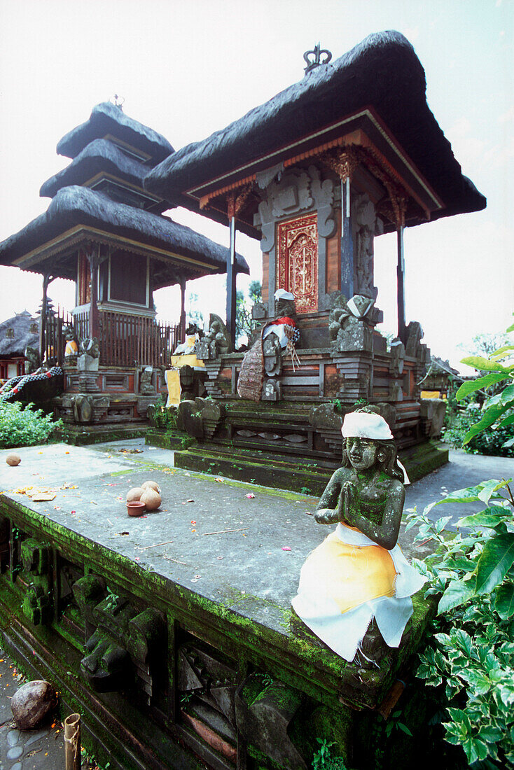 tempel statue with cloth, kitamani, bali, indonesia, asia, praying, folded hands, religious, religion, hinduism, belief, stone, face, gods, quit, peace, mystic, leaves, believing, ceremony, holy, temple, moss