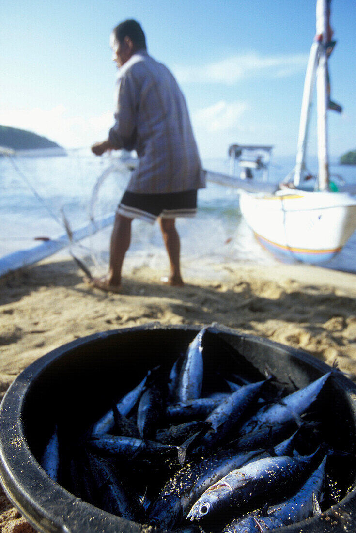 Catched fish in a basket, Padangbai, Bali, Indonesia