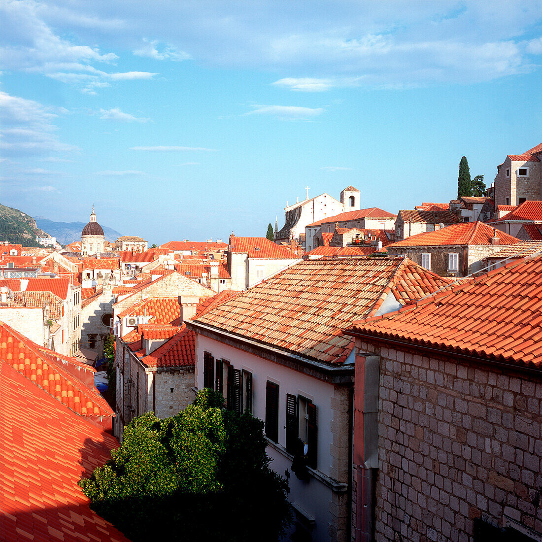 View over Dubrovnik's roofs, Croatia, Dalmatia