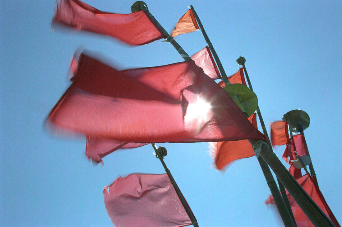 Red waving flags, Baltic sea, Darß, Mecklenburg-Western Pomerania, Germany