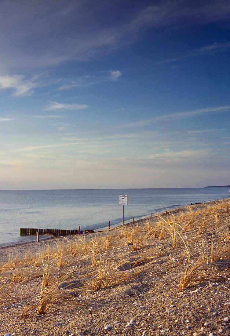 Damm an der Ostsee, Fischland, Mecklenburg Vorpommern, Deutschland