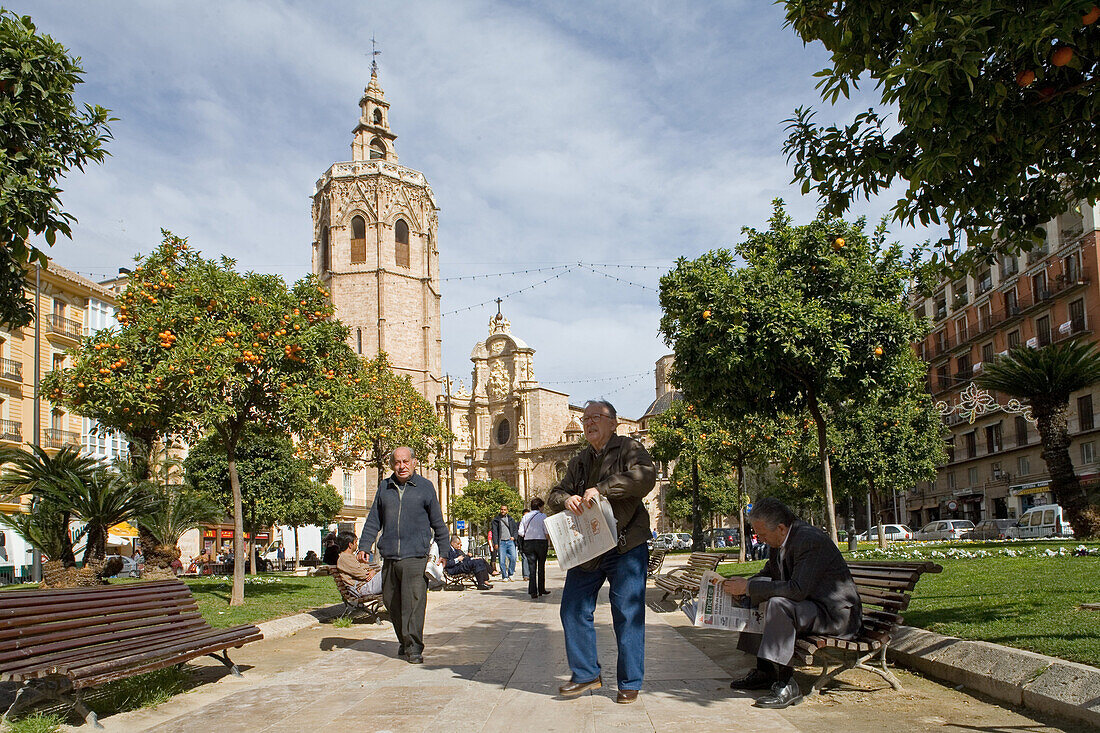 Männer lesen Zeitung unter Apfelsinenbäume an der Plaza de la Reina, im Hintergrund der Kathedrale, Valencia