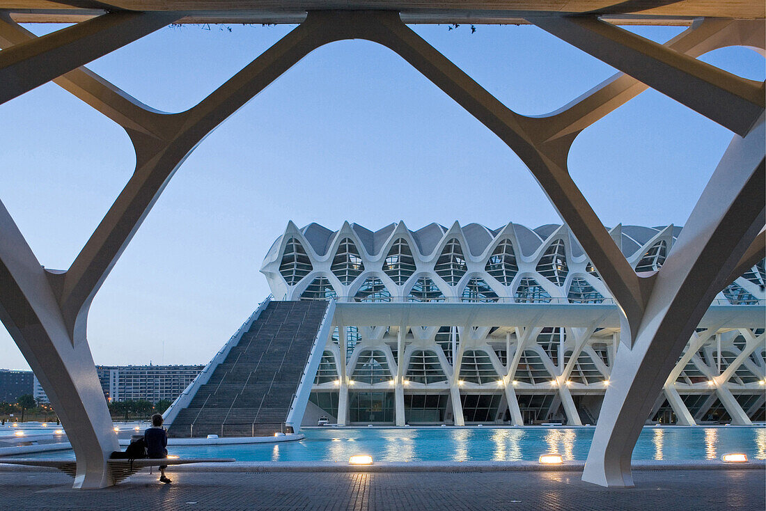 Stadt der Künste und Wissenschaften, spanischer Architekt Santiago Calatrava, Wissenschafts Museum, Museo de las Ciencias Principe Felipe