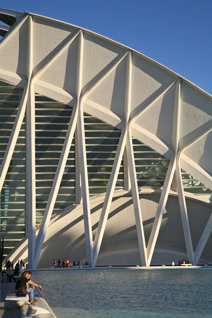 City of Arts and Sciences, Science Museum, Ciudad de las Artes y las Ciencias, Museo de las Ciencias Principe Felipe, like a skeleton of a giant whale, architect Calatrava, Valencia, Spain