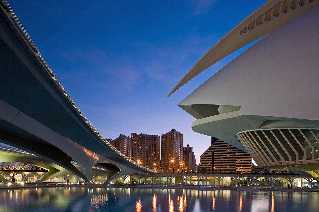 Palau de les Arts Reina Sofia, Kulturpalast, Stadt der Künste und Wissenschaften, spanischer Architekt Santiago Calatrava