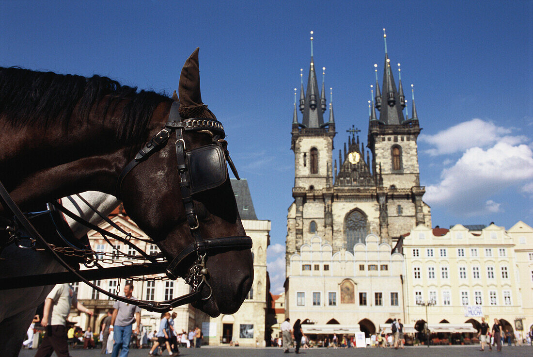 A horse and carriage in the Old Town, Prague, Czech Republic
