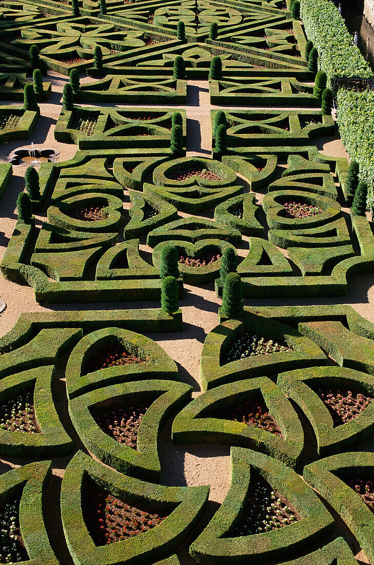 Garten der Liebe, Château de Villandry, Villandry, Loire, Frankreich