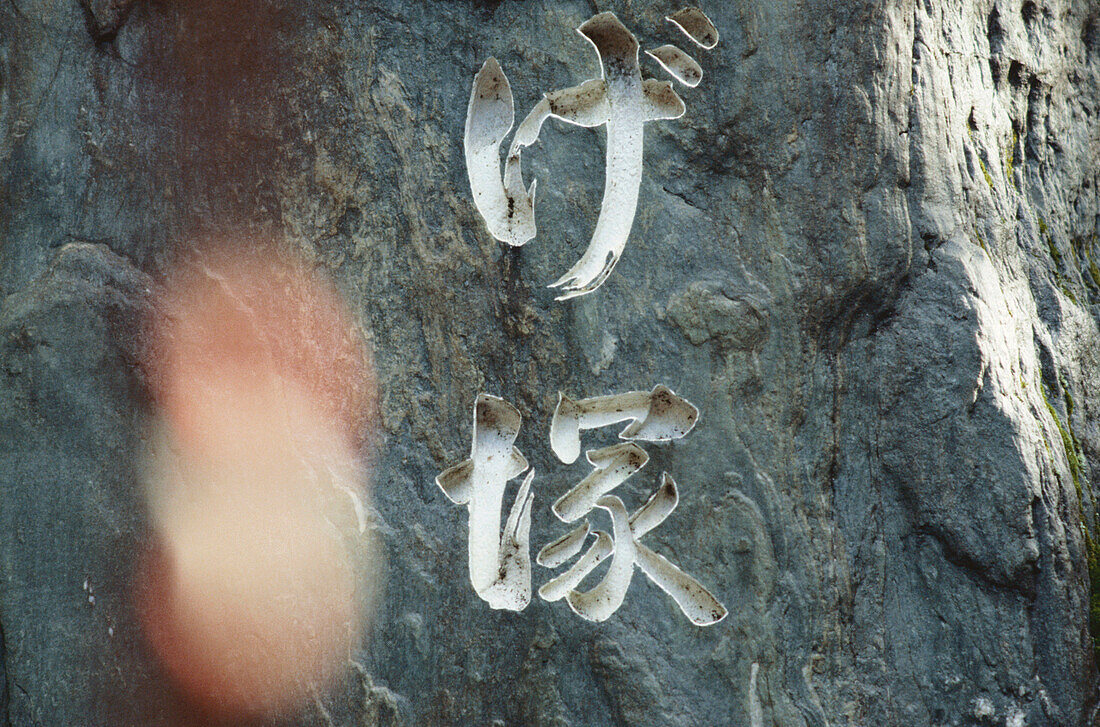 Japanese characters, lettering in a temple, Japan