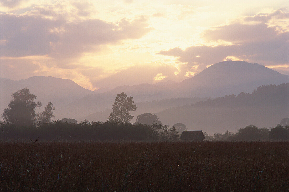 Naturschutzgebiet Ruggeller Riet im Morgengrauen, Rugell, Liechtenstein