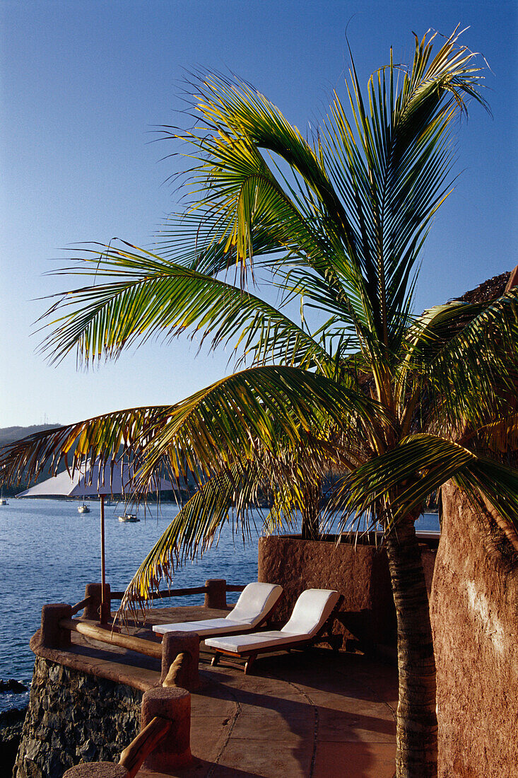 Small luxury hotel with palm tree, La Casa que canta, Zihuatanejo, Guerrero, Mexico, America
