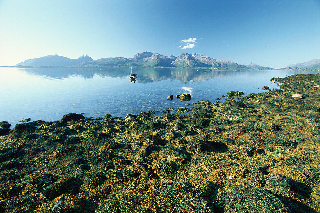 Fjord bei Helnessund, Halbinsel Steigen, Nordland, Norwegen