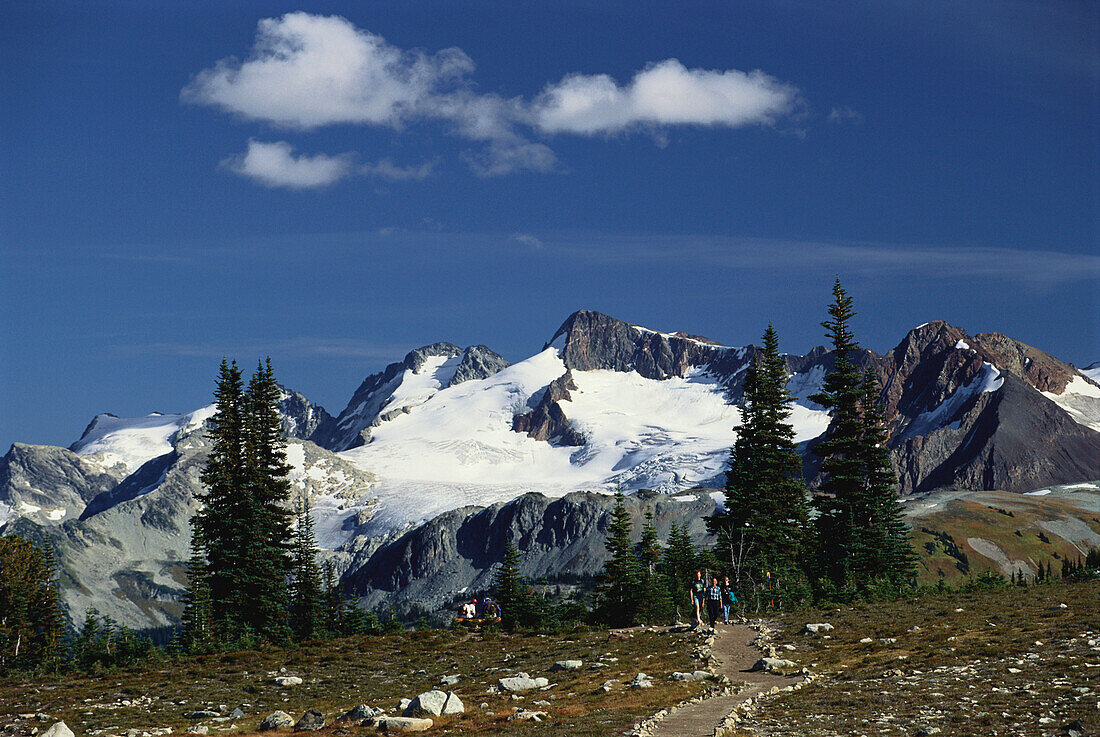 Whistler Mountain, British Columbia, Canada