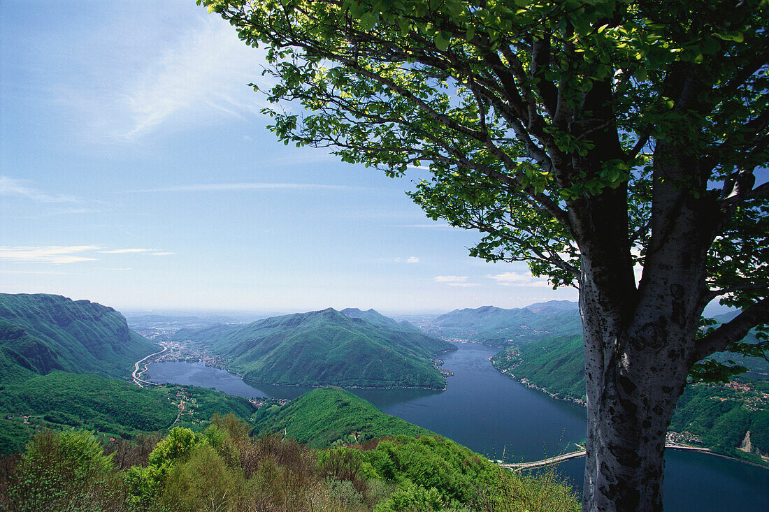 View from Sighignola towards Lake Lugano, Lago di Lugano, Ticino, Switzerland, Europe