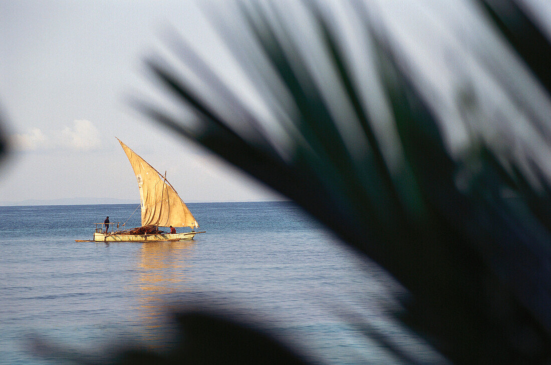 Fisherman in a fishing boat, Piroge, Nosy Be, Madagascar, Africa
