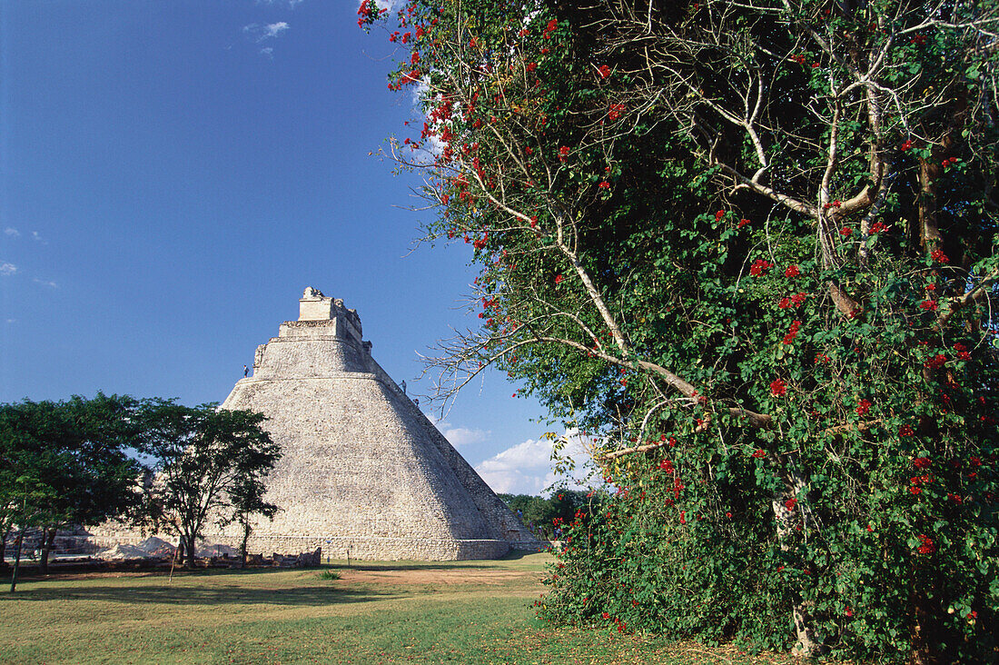 Pyramide des Zauberers, Uxmal, Halbinsel Yucatán, Mexiko