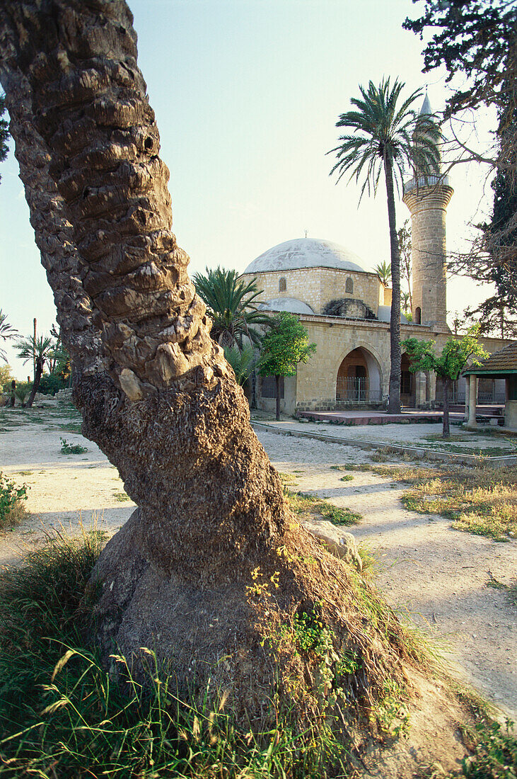 Blick von eine Moschee, Religion, Troodos Gebirge, Zypern