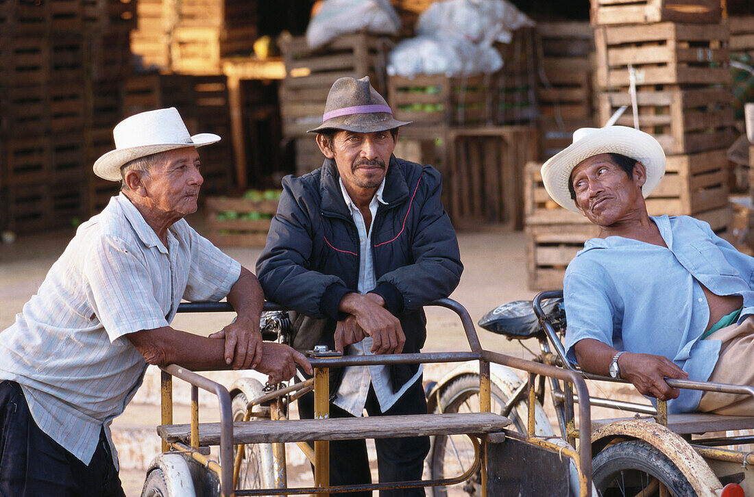 Drei Männer, Einheimischer mit Transport-Fahrrad, Oxkutzca Markt, Yucatan, Mexiko