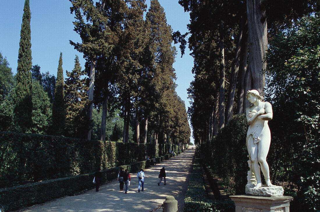 Zypressen-Allee, Vittolone, Giardino di Boboli, Florenz, Toskana, Italien