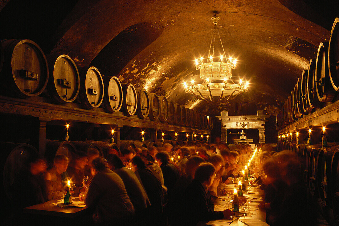 Guests in wine cellar of the Residence, Wuerzburg, Bavaria, Germany
