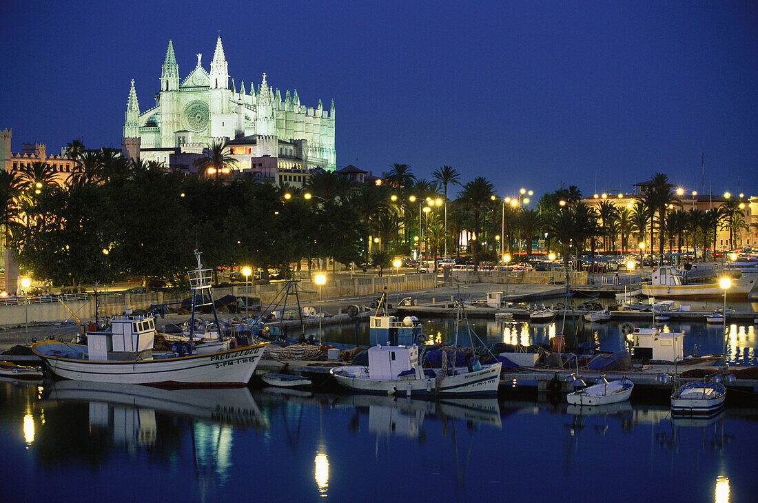Harbour and Cathedral, Palma de Mallorca, Balearic Islands, Spain