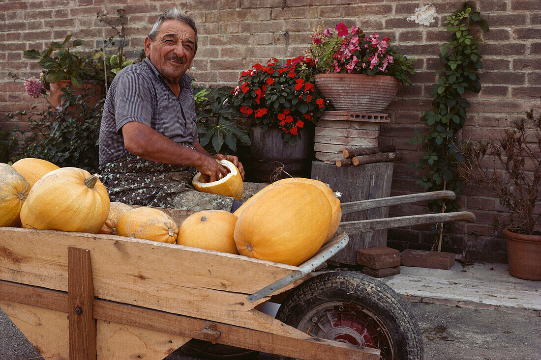 Farmer with pumkins, Chiusure bei Asciano, Tuscany, Italy