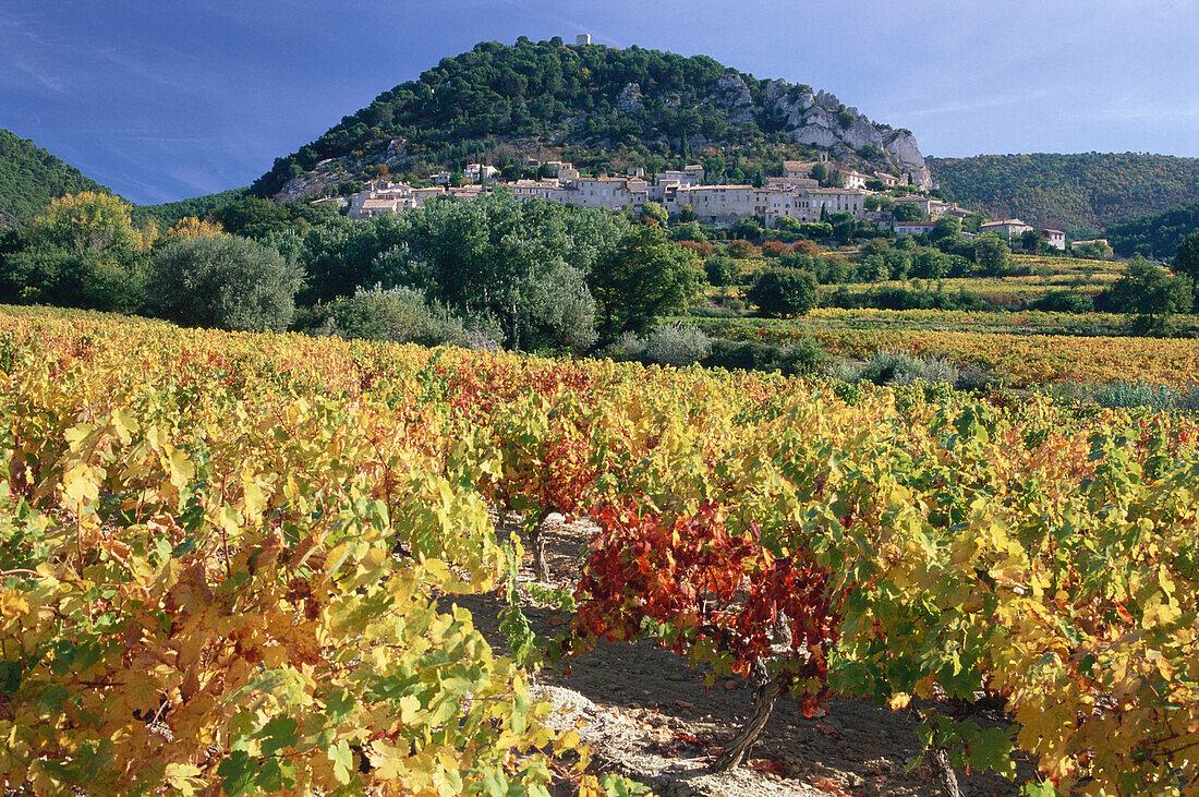 Weinfelder, mit Bergdorf im Hintergeund, Séguret, Dentelles de Montmirail, Provence, Frankreich