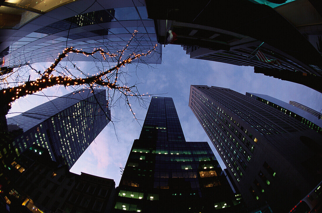 Madison Avenue, low angle view, with Chritsmas Decorations, Manhattan, New York City, USA