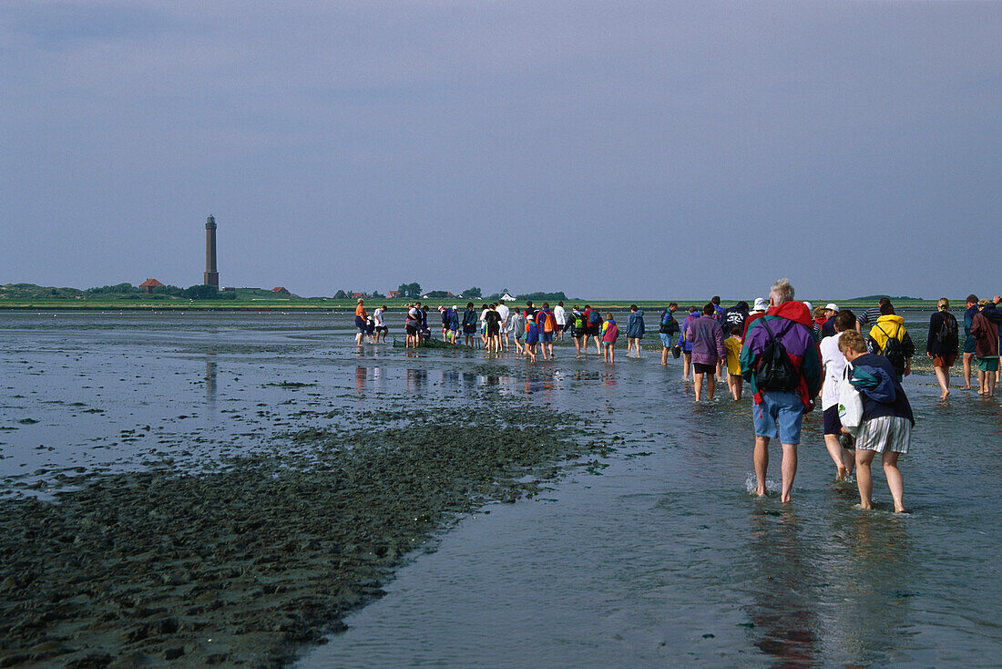 Tourists mudflat hiking, Norderney, East Frisian Islands, Lower Saxony, Germany