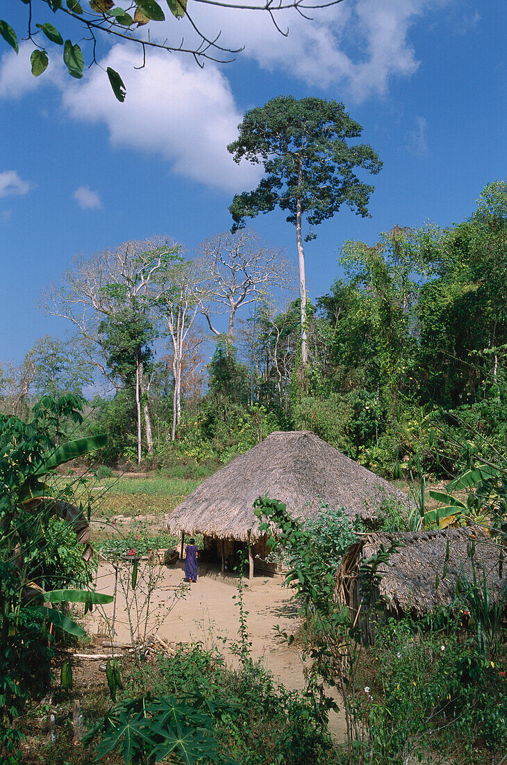 Haus im Tropenwald, Nordandamanen, Andamanen, Indien