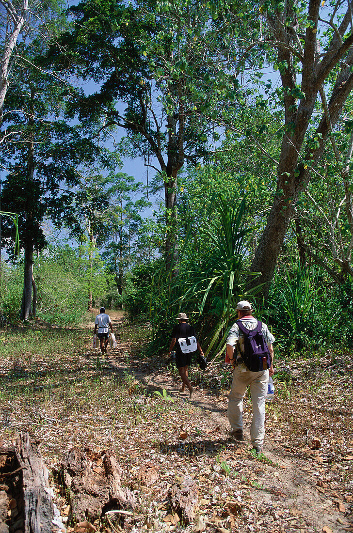 Tourists walking through a forest on North Andaman Islands, India