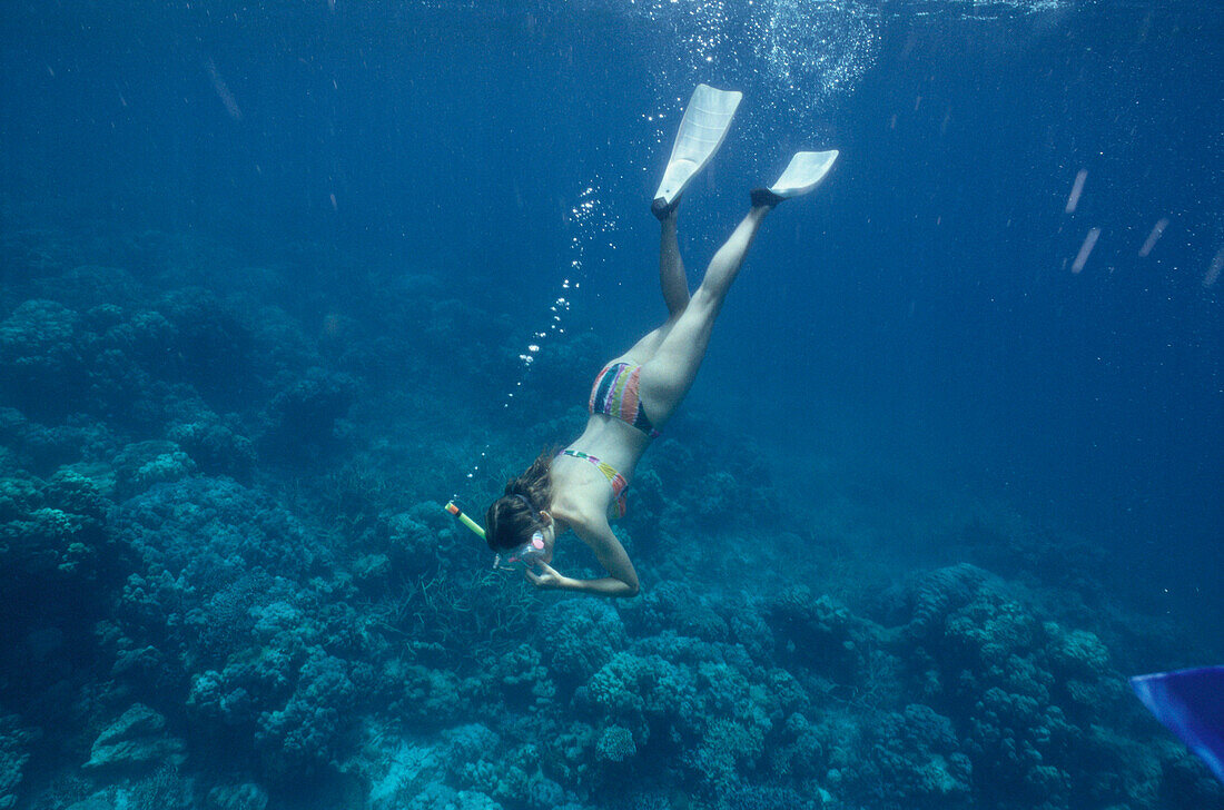 Person a woman, snorkeling under water, Havelock Islands, Andaman Islands, India
