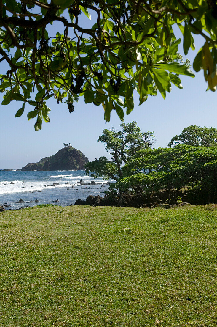USA; Hawaii, Maui, Hana, Hana Beach Park, tree, meadow, countryside, beach, ocean, wave, island