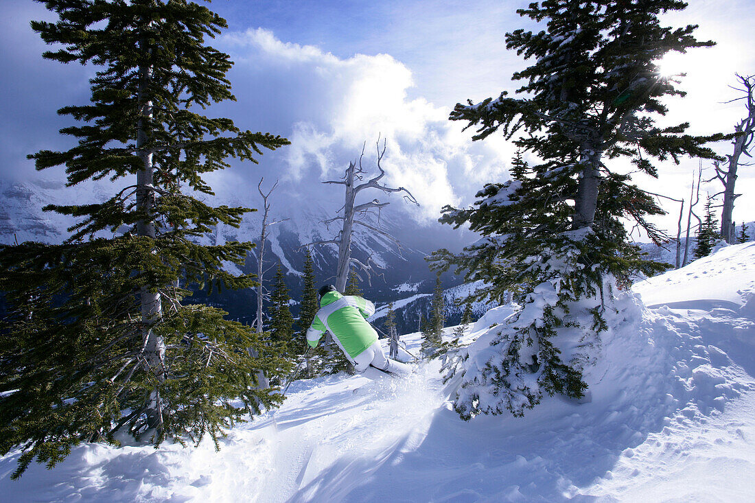 Skifahrer fährt Bergab, Castle Mountain Ski Resort, Southern Alberta, Kanada