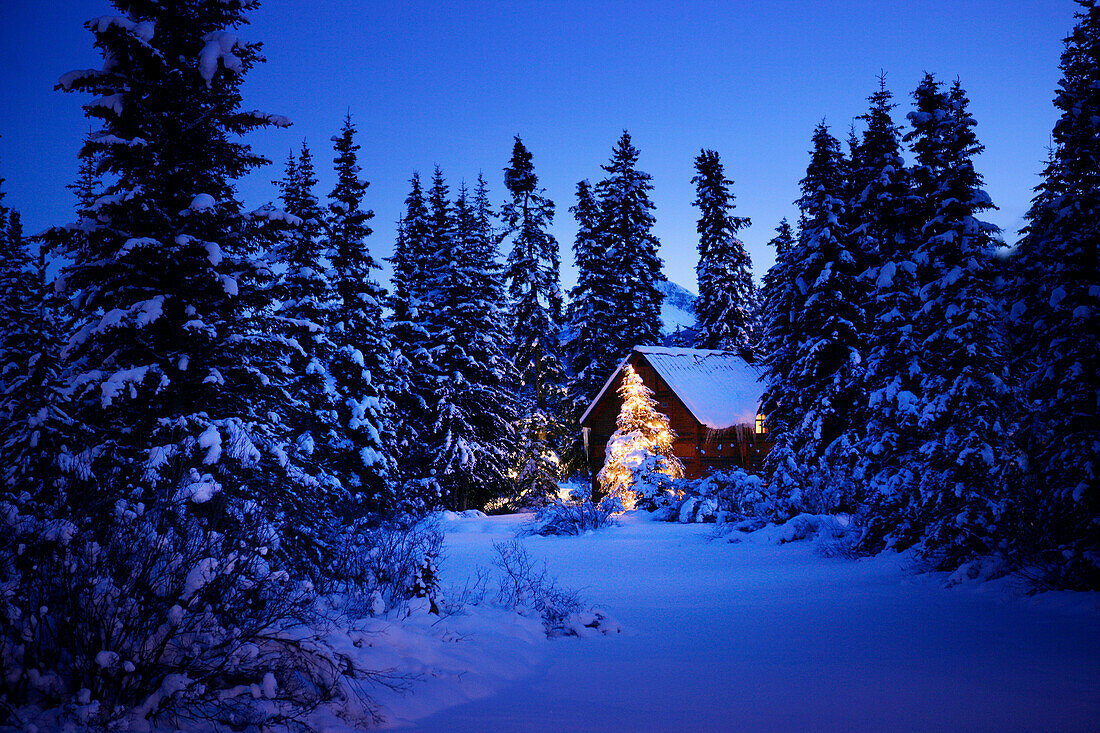 Snow covered log house, Bavaria, Germany