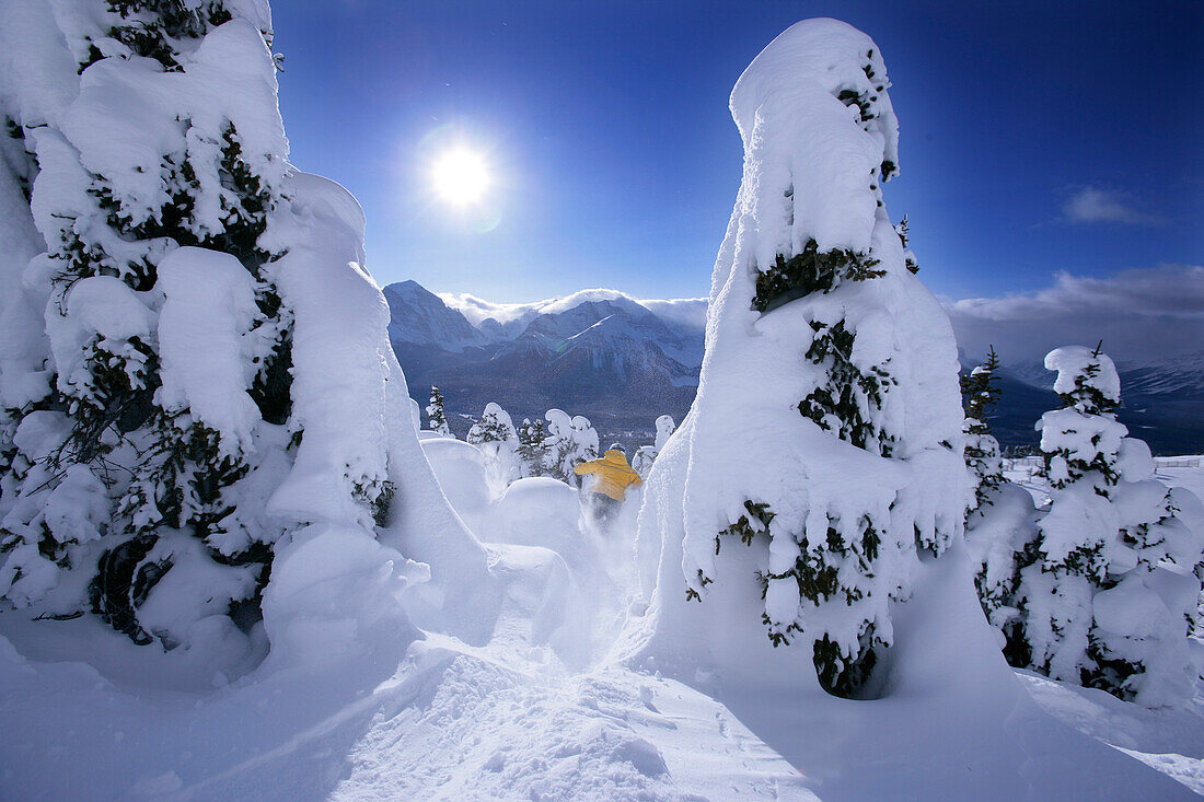 Skier in deep snow, Lake Louise, Alberta, Canada