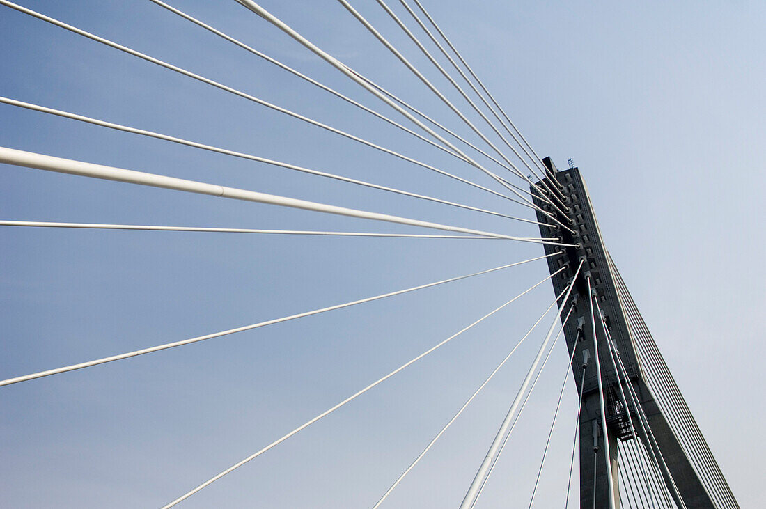 Stahlseile einer Brücke glänzen im Sonnenlicht, Warschau, Polen