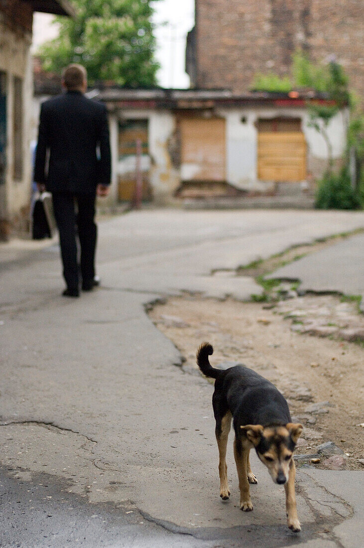 Mann mit Aktentasche im Hinterhof, Hund, Warschau, Polen