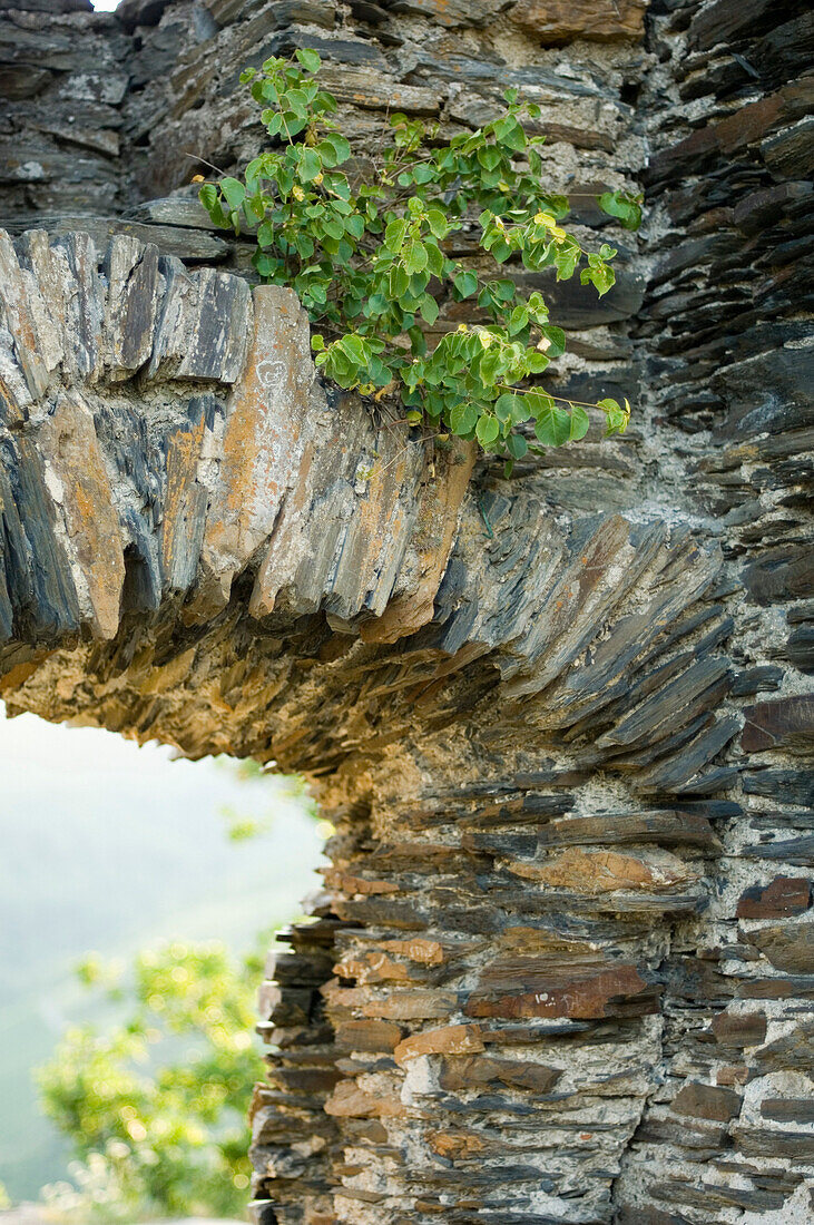 Nahaufnahme der Burgruine Grevenburg, Traben-Trarbach, Rheinland-Pfalz, Deutschland