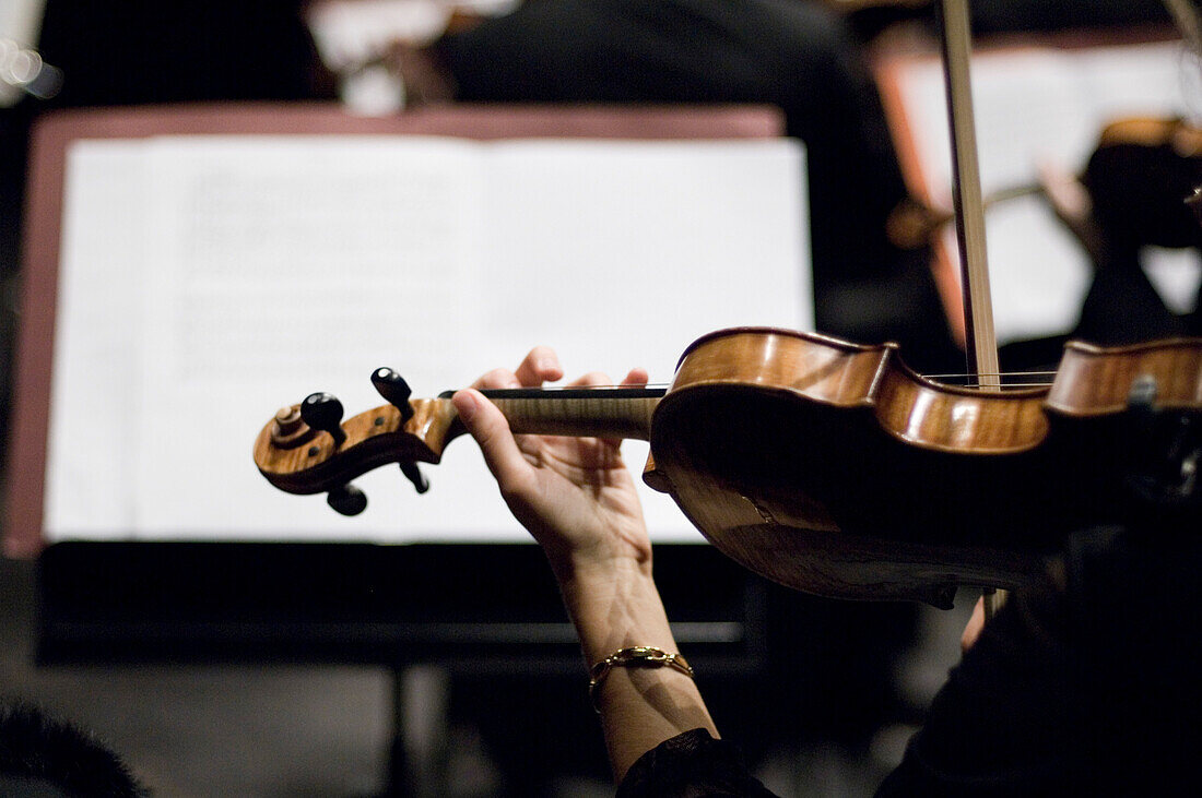 Orchestra, Prinzregententheater, Munich, Bavaria, Germany