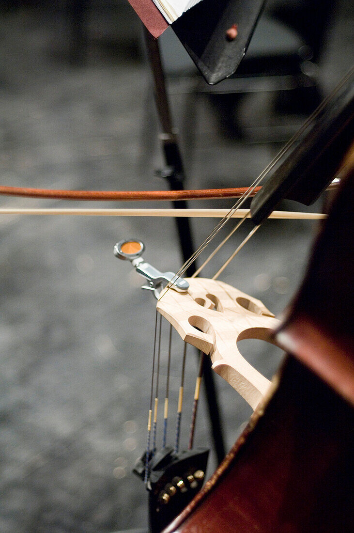 Close-up of a contrabass, Munich Symphony Orchestra, Prinzregententheater, Munich, Bavaria, Germany