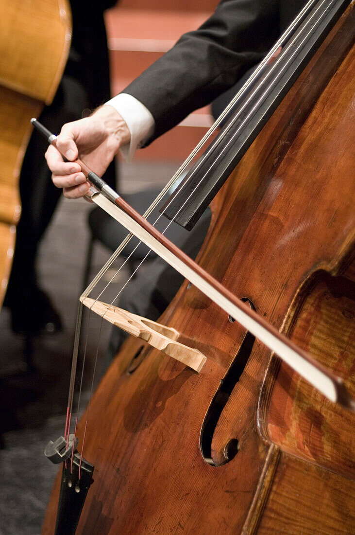 Musiker spielt Kontrabass, Münchner Symphoniker, Prinzregententheater, München, Bayern, Deutschland
